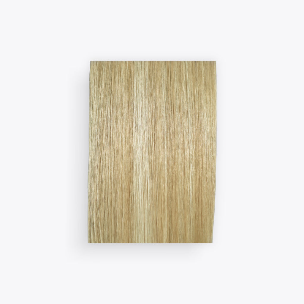 Studio Color Champagne