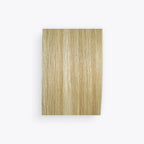 Studio Color Champagne