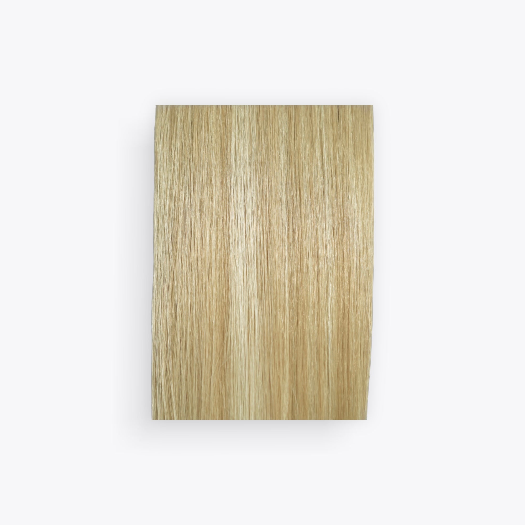 Studio Color Champagne